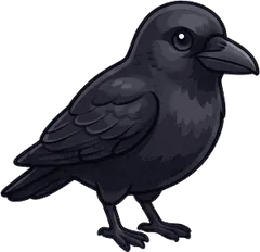 American Crow illustration