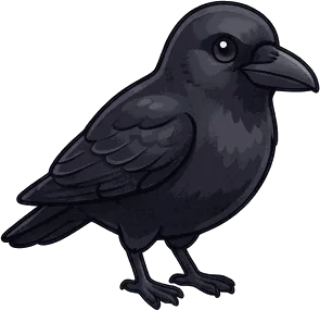 American Crow illustration
