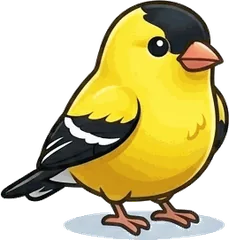 American Goldfinch illustration