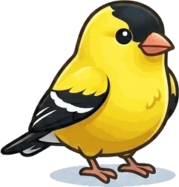 American Goldfinch illustration