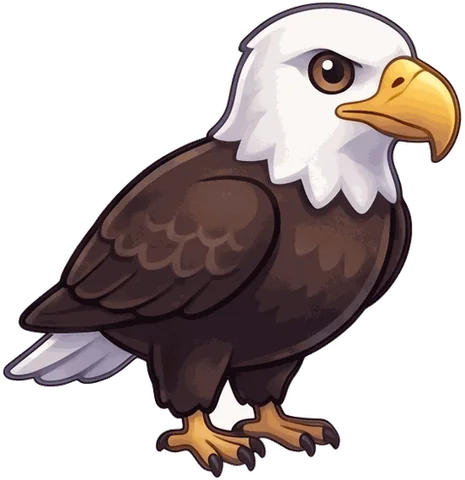 Bald Eagle illustration