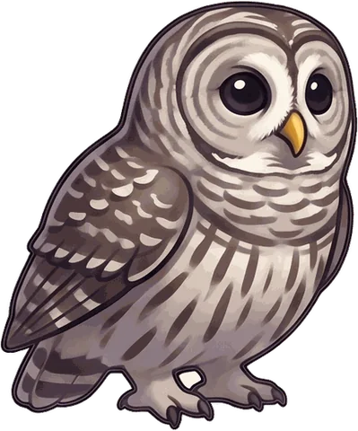 Barred Owl illustration