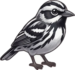 Black-and-white Warbler illustration
