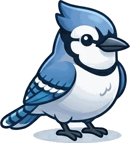 Blue Jay illustration