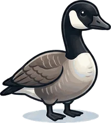 Canada Goose illustration
