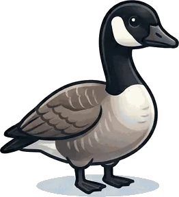 Canada Goose illustration