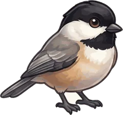 Carolina Chickadee illustration
