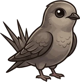 Chimney Swift illustration
