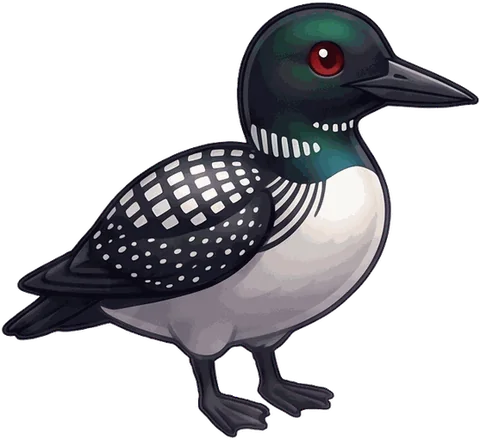 Common Loon illustration