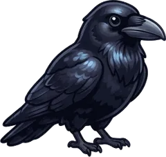 Common Raven illustration