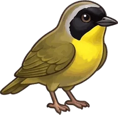 Common Yellowthroat illustration