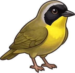 Common Yellowthroat illustration