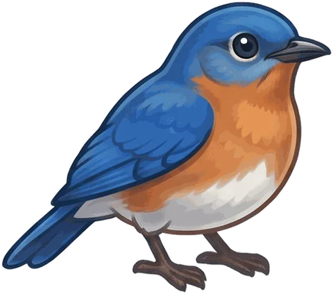 Eastern Bluebird illustration