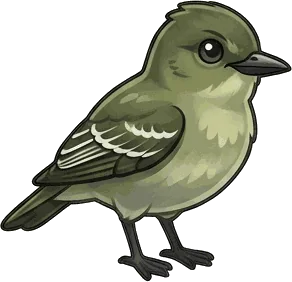 Eastern Wood-Pewee illustration
