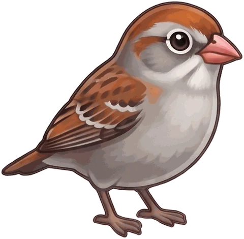 Field Sparrow illustration