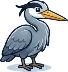 Great Blue Heron illustration