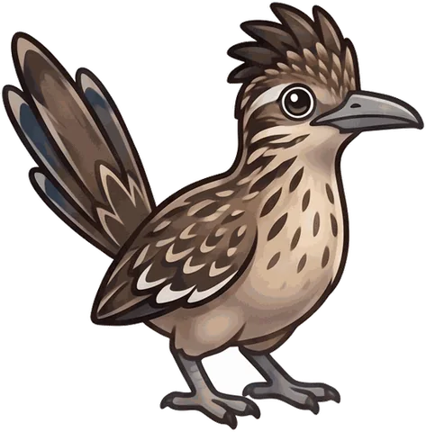 Greater Roadrunner illustration