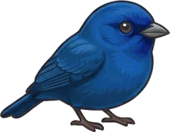 Indigo Bunting illustration