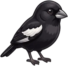 Lark Bunting illustration