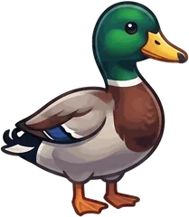 Mallard illustration