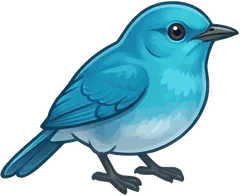 Mountain Bluebird illustration