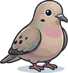 Mourning Dove illustration