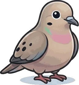 Mourning Dove illustration