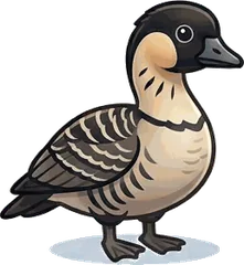 Nene illustration