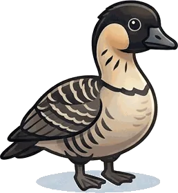 Nene illustration