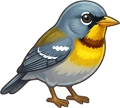 Northern Parula illustration