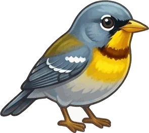 Northern Parula illustration