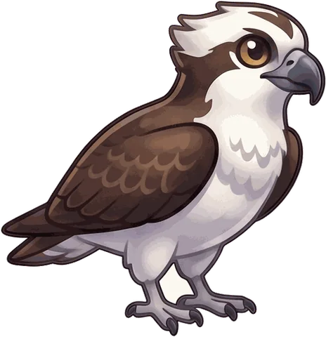 Osprey illustration