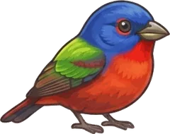 Painted Bunting illustration