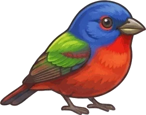 Painted Bunting illustration