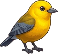 Prothonotary Warbler illustration