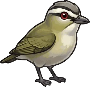 Red-eyed Vireo illustration