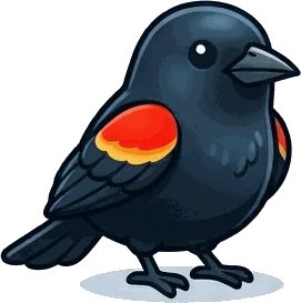 Red-winged Blackbird illustration