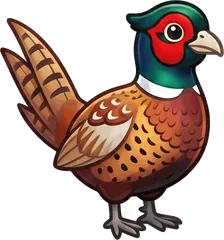 Ring-necked Pheasant illustration