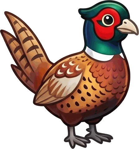 Ring-necked Pheasant illustration
