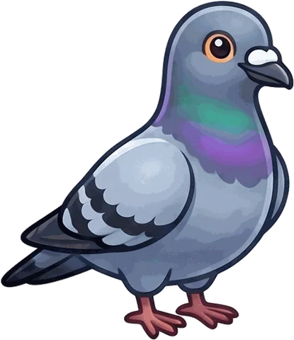 Rock Pigeon illustration