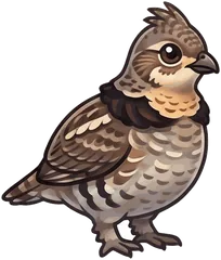 Ruffed Grouse illustration