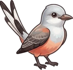 Scissor-tailed Flycatcher illustration