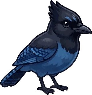 Steller's Jay illustration