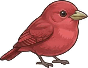 Summer Tanager illustration