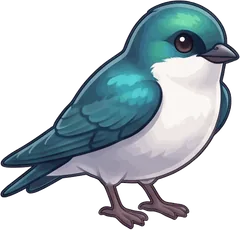 Tree Swallow illustration