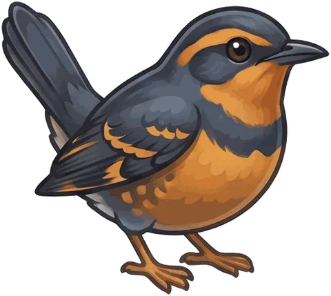 Varied Thrush illustration