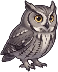 Western Screech-Owl illustration