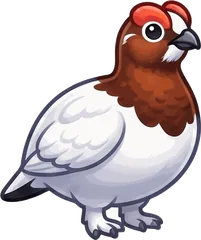 Willow Ptarmigan illustration