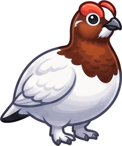 Willow Ptarmigan illustration