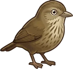 Wrentit illustration